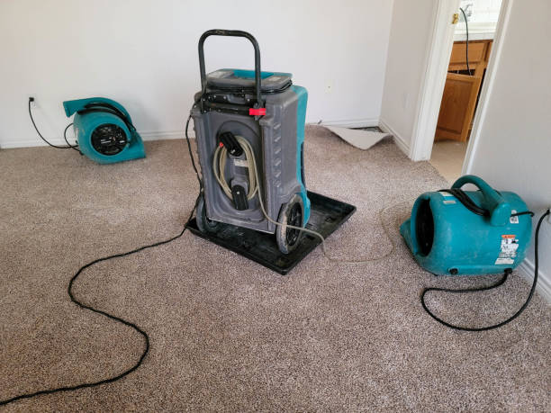 Best Carpet water damage restoration  in Cross Lanes, WV