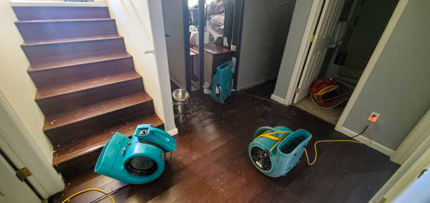 Best Local water damage restoration  in Cross Lanes, WV