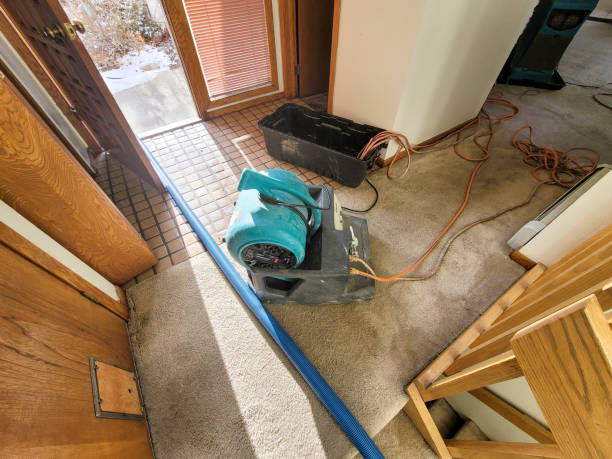 Best Sewage cleanup and water damage restoration  in Cross Lanes, WV