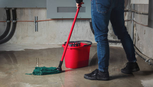 Best Water damage cleanup near me  in Cross Lanes, WV