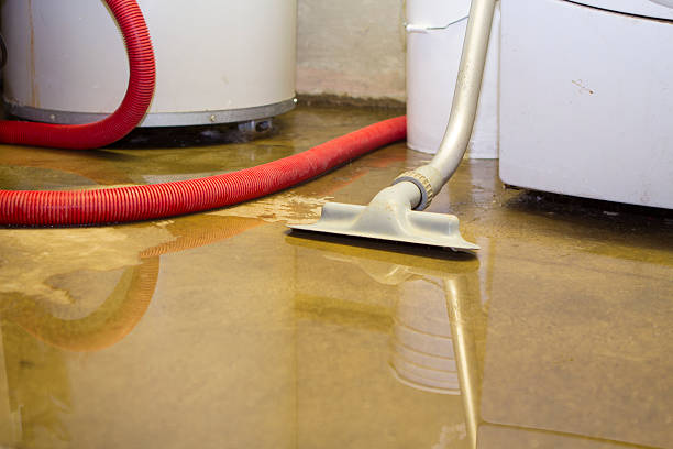 Best Ceiling water damage repair  in Cross Lanes, WV