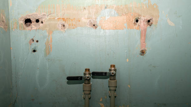 Best Residential water damage restoration  in Cross Lanes, WV