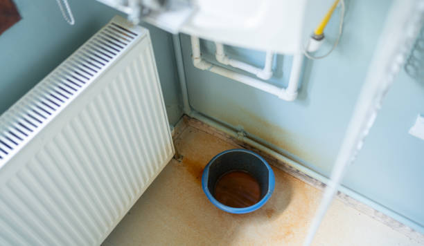 Best Water damage restoration near me  in Cross Lanes, WV