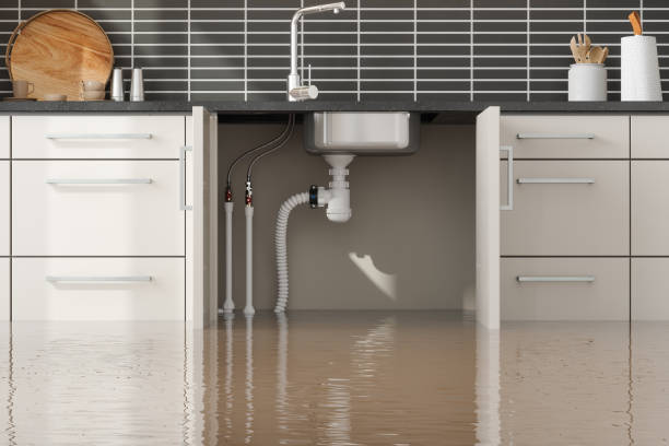 Best Flood restoration services  in Cross Lanes, WV