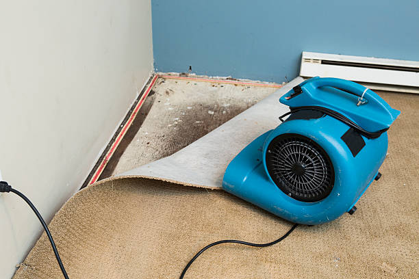 Water damage restoration insurance claims in WV